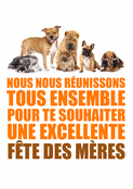 Tous ensemble pour une belle f&ecirc;te des m&egrave;res